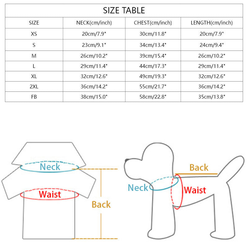 Dog letter T-shirt sweater