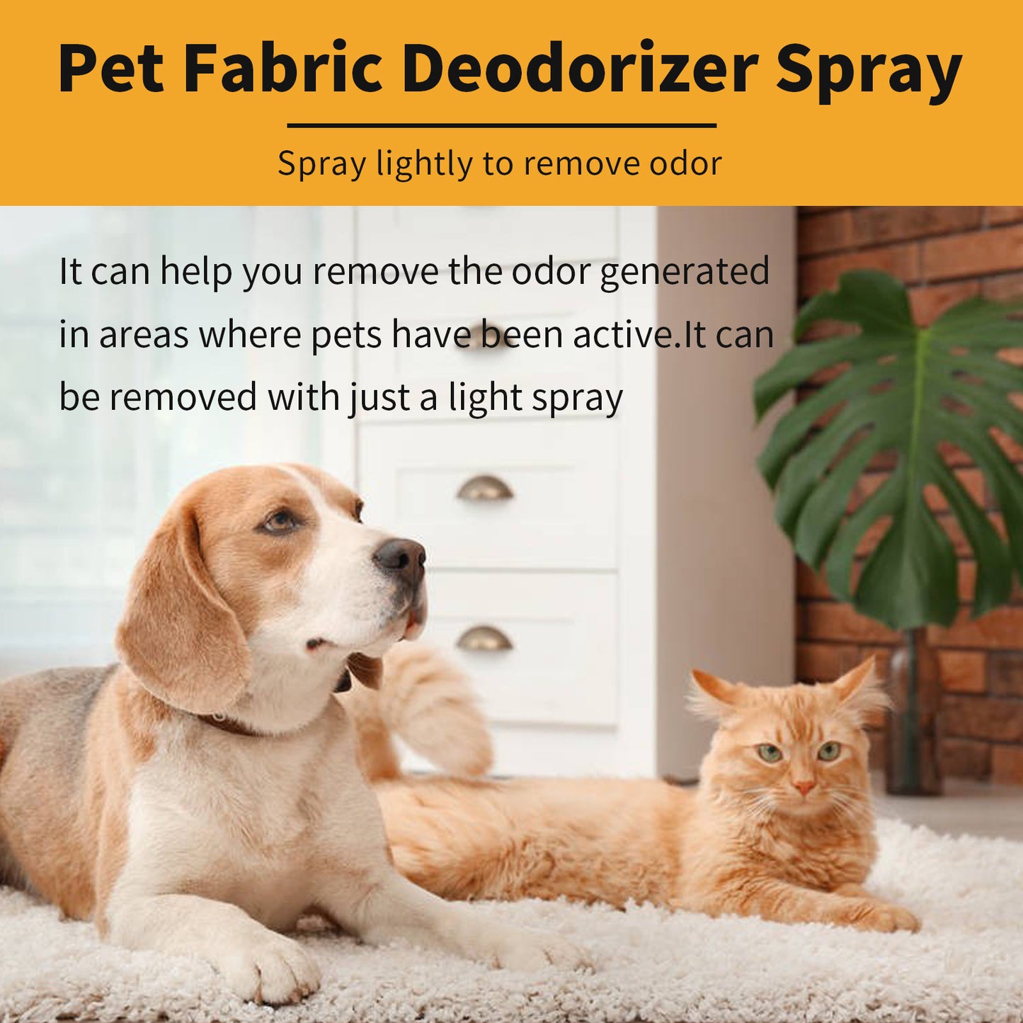 PawScent Odor Eliminator